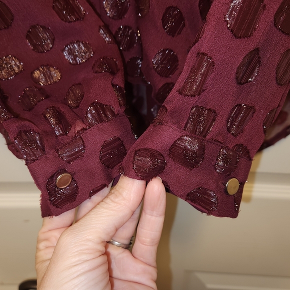 EUC Jennifer Lopez Long sleeve sheer blouse - Picture 4 of 5